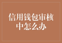 信用钱包审核中的出路：如何有效应对与等待