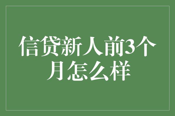 信贷新人前3个月怎么样