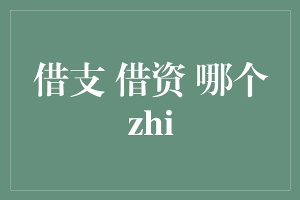 借支 借资 哪个zhi