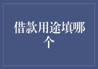 借款用途填哪个？告诉你如何正确填写！