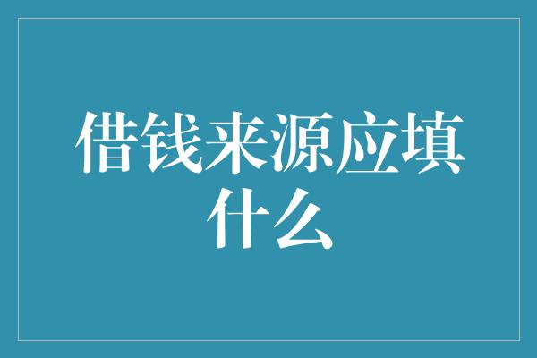 借钱来源应填什么