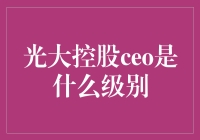 光大控股CEO：战略视野下的企业掌舵者