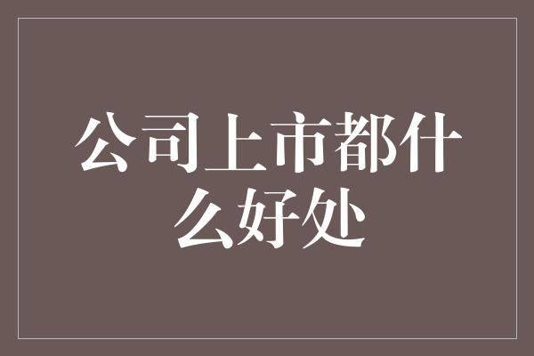 公司上市都什么好处