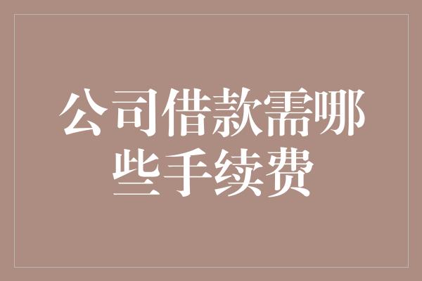 公司借款需哪些手续费