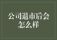 公司退市后的发展路径及影响深度解析