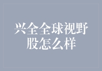 兴全全球视野股怎么样？深度剖析与投资指南