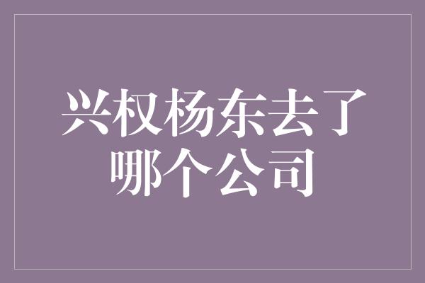 兴权杨东去了哪个公司