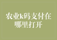 农业k码支付在哪里打开？这是一场寻宝大冒险！