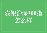 农银沪深300指：投资界的老坛酸菜还是钻石王老五？