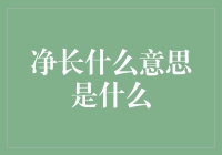 净长究竟是什么意思？解读财务报表中的关键指标