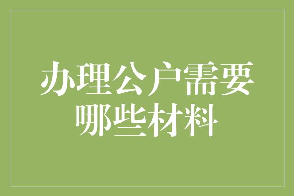 办理公户需要哪些材料