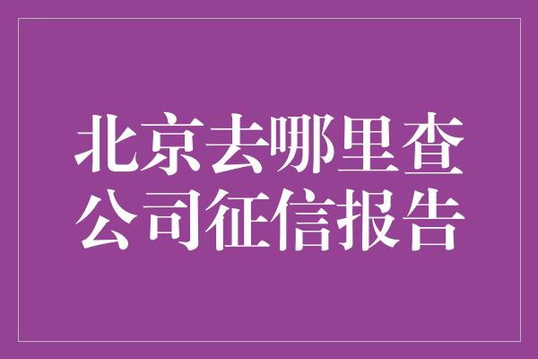 北京去哪里查公司征信报告