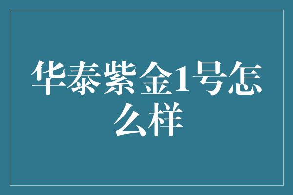 华泰紫金1号怎么样