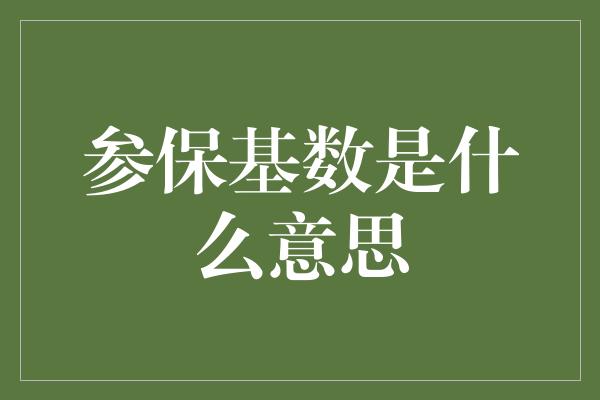 参保基数是什么意思