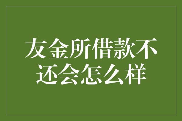 友金所借款不还会怎么样