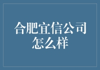 合肥宜信公司：赋能金融科技，引领未来