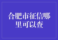 合肥市征信查询指南