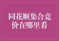 同花顺集合竞价实时查看攻略：掌握股市开盘前的先机