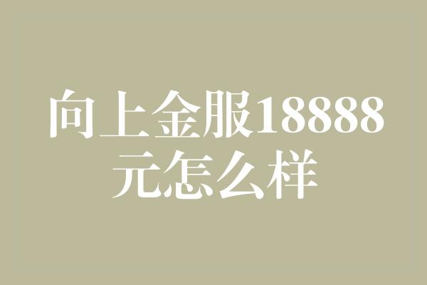 向上金服18888元怎么样