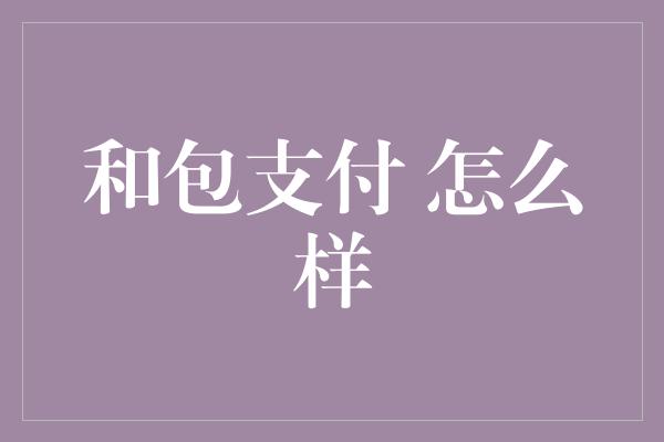 和包支付 怎么样