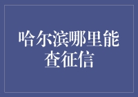 哈尔滨人找征信报告，不是在冰雕艺术馆，就是在银行门口徘徊