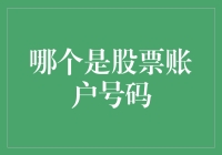 股票账户号码：走出神秘之地，开启您的理财盛宴