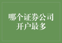 股市风云：谁是证券公司中的开立大户？