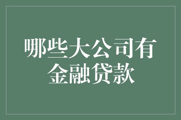 哪些大公司有金融贷款