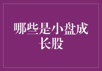 小盘股里的成长小超人：寻找那些不起眼但潜力巨大的股票