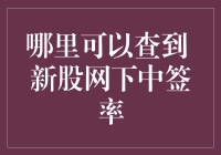 新股网下中签率查询指南与分析