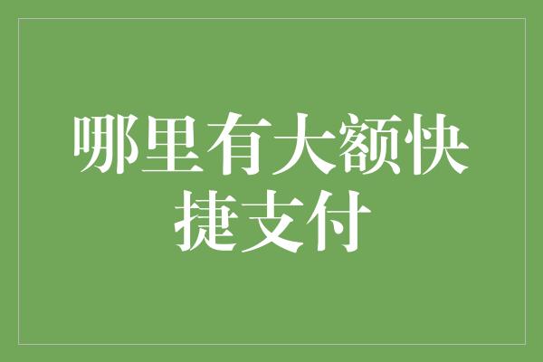 哪里有大额快捷支付