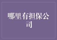 找到担保公司的秘密武器