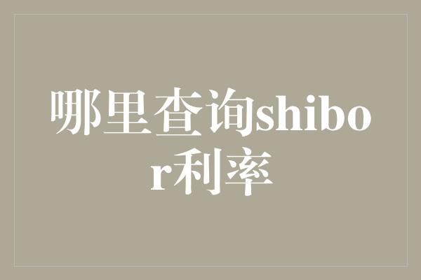 哪里查询shibor利率