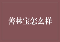 善林宝：互联网金融的创新与挑战