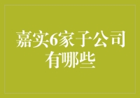 嘉实基金管理有限公司的六家子公司：大展宏基，各具特色