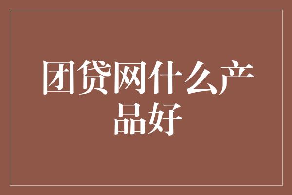 团贷网什么产品好