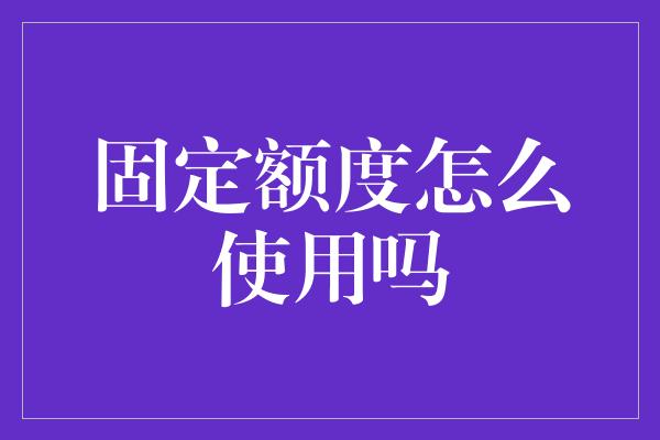 固定额度怎么使用吗