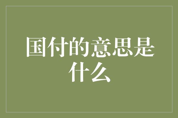 国付的意思是什么