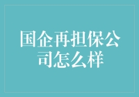 国企再担保公司：是你的职场新宠儿，还是职场陷阱？