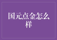 国元点金：金融投资领域的创新先锋