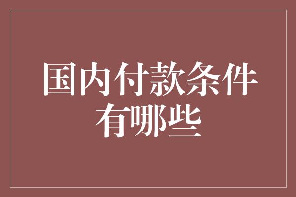 国内付款条件有哪些