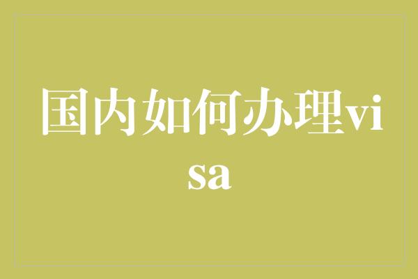 国内如何办理visa