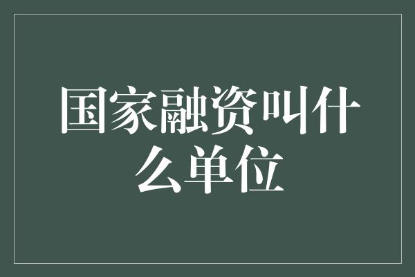 国家融资叫什么单位