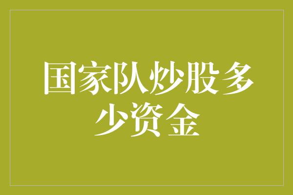 国家队炒股多少资金