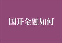 国开金融？听听这个名字就觉得很给力！