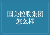 国美控股集团：多元化战略下的零售巨擘