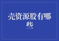 壳资源股：探寻隐藏价值的投资宝藏