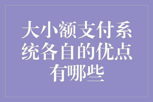 大小额支付系统各自的优点有哪些