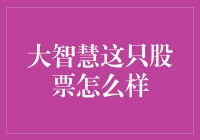 大智慧：股市导航者还是投资陷阱？