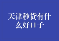 天津秒贷：解析优质借款平台的特色与选择